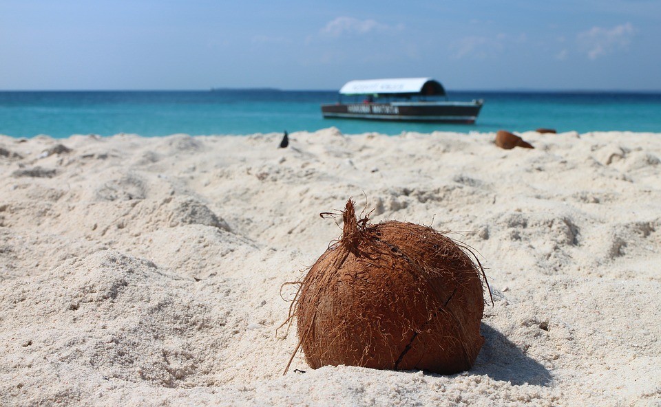 Zanzibar vakantietips